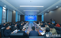 是这片“热带雨林”中兴旺发展的创生力军—— 